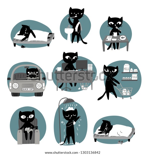 Black cat\'s daily\
routine