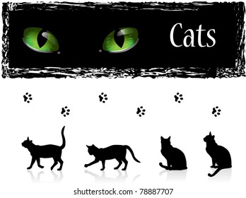 Black cats, eyes and footprints