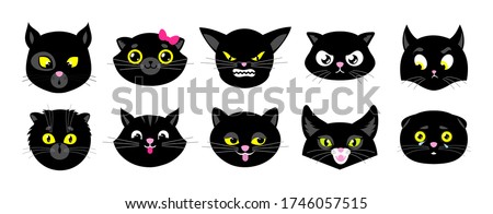 Similar – Image, Stock Photo Black cat looks into camera in front of black background