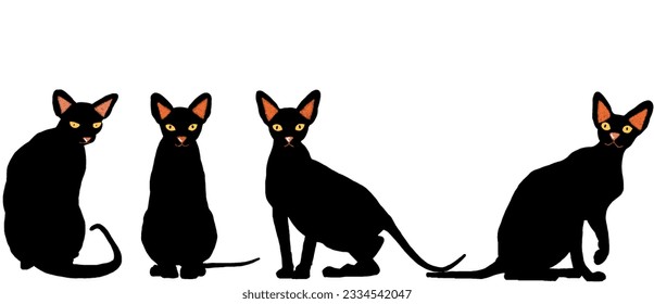 Black cats for Halloween day, Halloween party concept. Vector illustration.