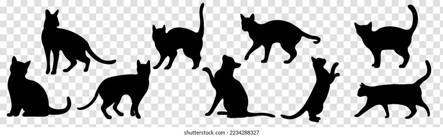 Black Cats Isolated Transparent Background , Vector Illustration