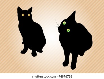black cats on the background