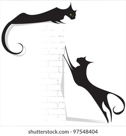 black cats on white background