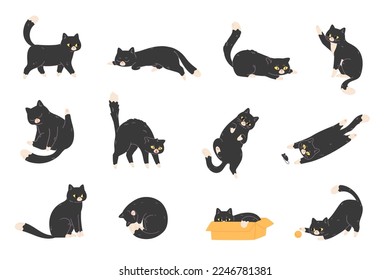 Black cats poses. Walking pussycat in different pose behavior, stretching kitten domestic animal characters, home cat sleep kitty silhouette cartoon vector illustration of feline lying ans walking
