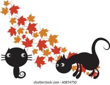 Black cats with red leaves behind them