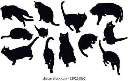 Black Cats silhouette