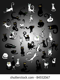 Black Cats, White Cats