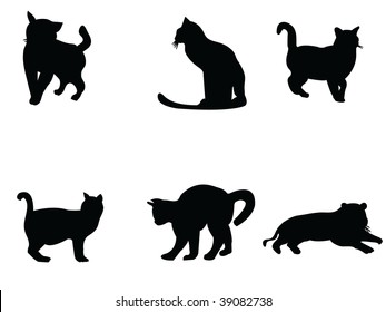 black cats witch vector silhouette