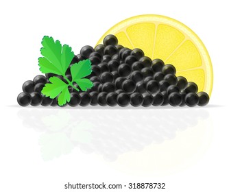 black caviar with lemon and parsley vector illustration isolated on white background