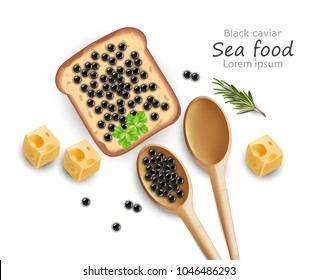 Black Caviar toast Vector realistic. Top view 3d detailed illustrations