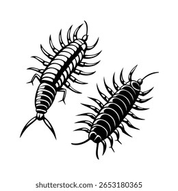 Black Centipede Vector Illustration – Detailed Silhouette of Crawling Insects with Many Legs for Science, Nature, and Entomology Design Projects