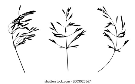 Black cereal grass leaves silhouettes isolated on white. Autumn fallen field grass leaves. Stencil vector