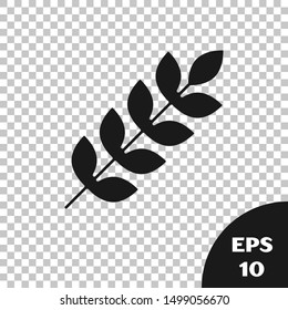 Black Cereals set with rice, wheat, corn, oats, rye, barley icon isolated on transparent background. Ears of wheat bread symbols.  Vector Illustration