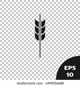Black Cereals set with rice, wheat, corn, oats, rye, barley icon isolated on transparent background. Ears of wheat bread symbols.  Vector Illustration