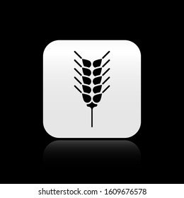 Black Cereals set with rice, wheat, corn, oats, rye, barley icon isolated on black background. Ears of wheat bread symbols. Silver square button. Vector Illustration