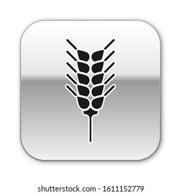 Black Cereals set with rice, wheat, corn, oats, rye, barley icon isolated on white background. Ears of wheat bread symbols. Silver square button. Vector Illustration