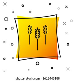 Black Cereals set with rice, wheat, corn, oats, rye, barley icon isolated on white background. Ears of wheat bread symbols. Yellow square button. Vector Illustration