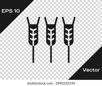 Black Cereals set with rice, wheat, corn, oats, rye, barley icon isolated on transparent background. Ears of wheat bread symbols.  Vector
