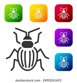Black Chafer beetle icon isolated on white background. Set icons in color square buttons. Vector