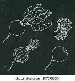 Black Chalk Board. Set of Beet - Beetroot with Top Leaves and Half of Beet, Beet Without Leaves, Cut Beet Round Slices. Fresh Vegetable Salad. Hand Drawn Vector Illustration. Savoyar Doodle Style.