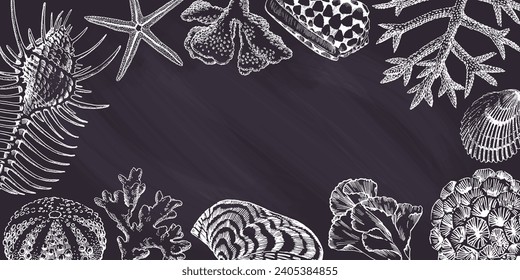 Black chalkboard with seashells and corals drawings. Border design, summertime illustration banner