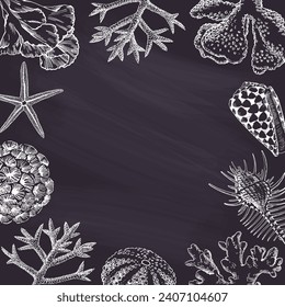 Black chalkboard with seashells and corals drawings. Border design, summertime illustration banner