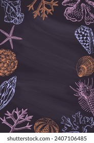 Black chalkboard with seashells and corals drawings. Border design, summertime illustration banner