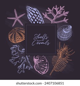 Black chalkboard with seashells and corals drawings. Border design, summertime illustration banner