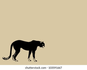 black cheeta on brown background, vector illustration