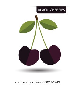 Black cherry, fruit vector illustration