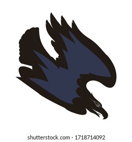 Black chested Eagle buzzard attacking, on a white background