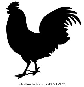 Black Chicken