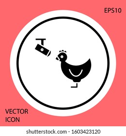 Black Chicken farm and wireless Controlling CCTV security camera icon isolated on red background. White circle button. Vector Illustration