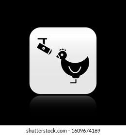 Black Chicken farm and wireless Controlling CCTV security camera icon isolated on black background. Silver square button. Vector Illustration