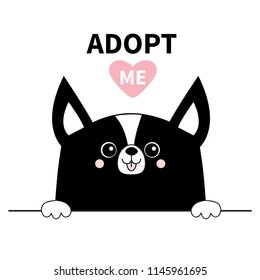 Black chihuahua dog face head. Hands paw holding line. Adopt me. Help homeless animal Pet adoption. Pink heart. Cute cartoon puppy character. Funny baby pooch Flat design. White background Vector