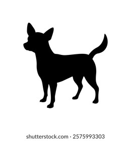 Black chihuahua puppy silhouette vector illustration design on white background.