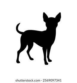 Black chihuahua standing silhouette vector illustration design on white background.