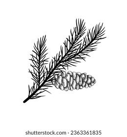 Black Christmas tree branch illustration.