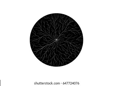 Black circle with cracks
vector abstract illustration
tree branches, roots
