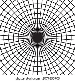 Black circle line radar on the white background. Vector illustration.