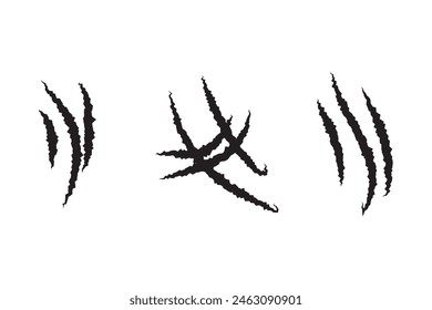 Black claw scratches. Bear tiger claws trails, animal scratched white paper. Lion or dinosaur flat scratch marks, racy wild beast tracks vector clipart