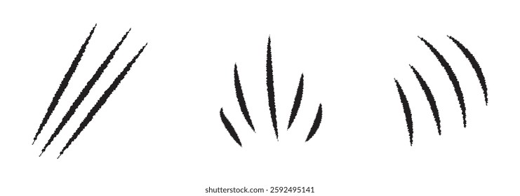 Black claw scratches. Bear tiger claws trails, animal scratched white paper. Lion or dinosaur flat scratch marks, racy wild beast tracks vector clipart