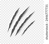 Black claw scratches - vector isolated. Claws scratches animal claw tracks cat or tiger bear or lion nails scratches. Horror, Halloween monster. Vector