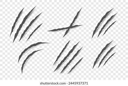 Arañazos de garra negra - Vector aislado. Garras arañazos animal garra Pistas gato u oso tigre o león clavos arañazos. Horror, monstruo de Halloween. Vector
