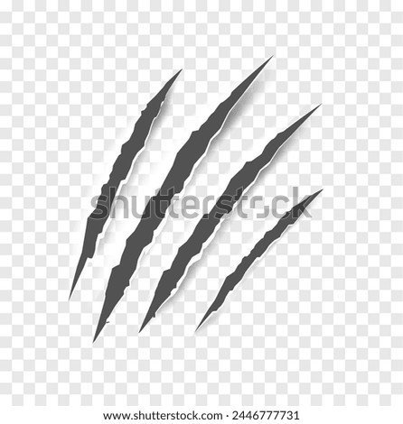Black claw scratches - vector isolated. Claws scratches animal claw tracks cat or tiger bear or lion nails scratches. Horror, Halloween monster. Vector