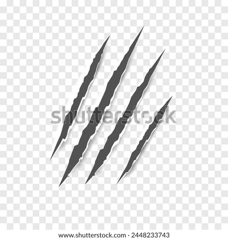 Black claw scratches - vector isolated. Claws scratches animal claw tracks cat or tiger bear or lion nails scratches. Horror, Halloween monster. Vector