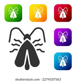 Black Clothes moth icon isolated on white background. Set icons in color square buttons. Vector