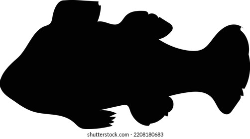 Black Clown Fish Silhouette Vector Logo Stock Vector (Royalty Free ...