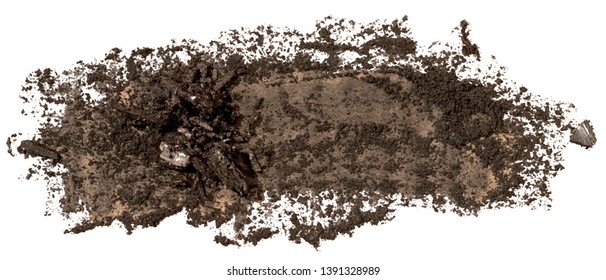 Black coal texture paint stain brush stroke, hand painted, isolated on white background. EPS10 vector illustration.