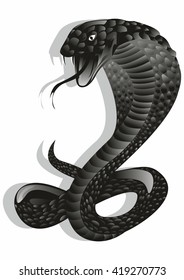 black cobra on white background.Vector illustration.